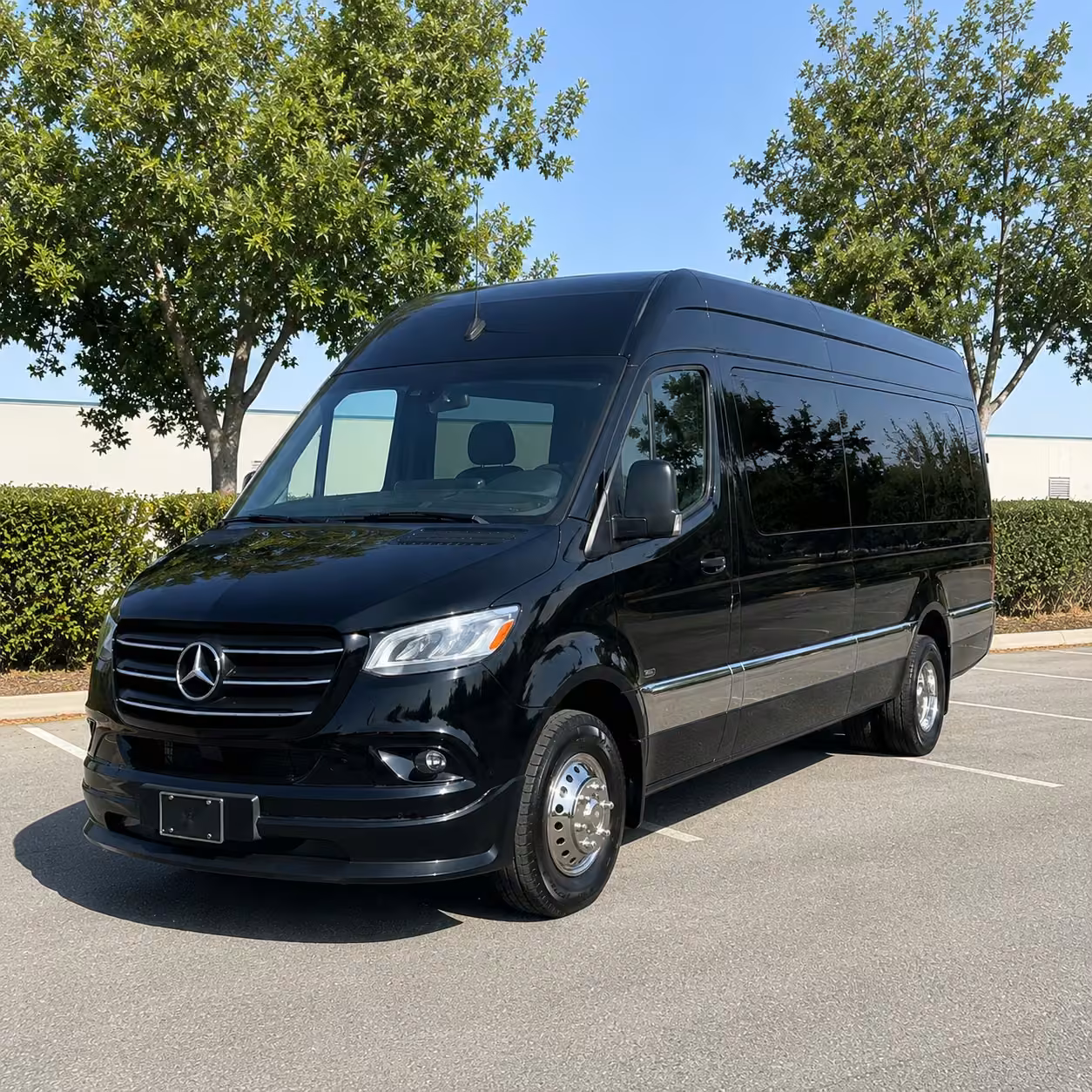 14 passenger sprinter limousine