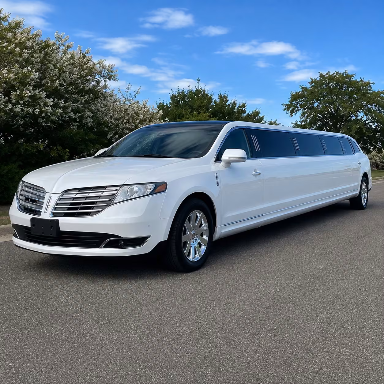 arlington limo exterior