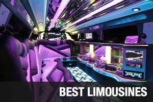 Kids Party Party Bus Limo